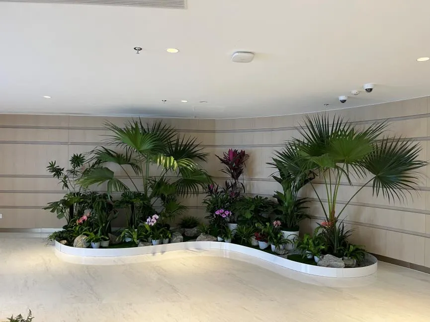 宁波江北绿化修剪方案大揭秘，让绿植焕发生机